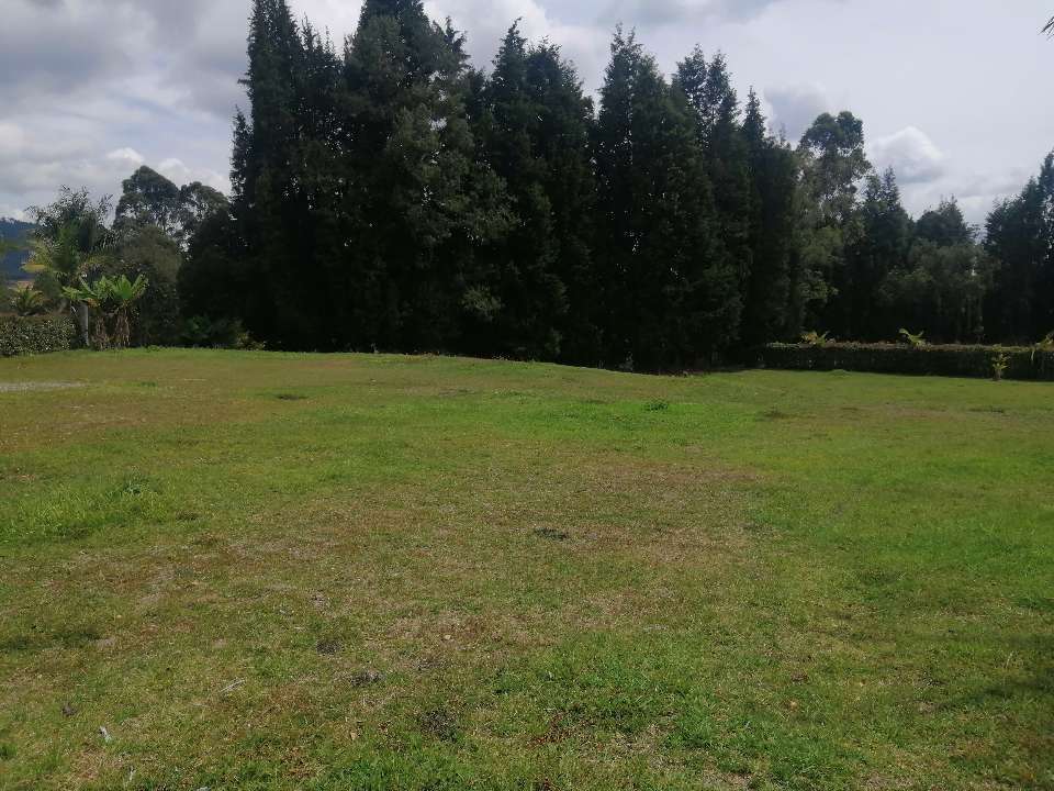 Lote en Vereda Hojas Sanchas