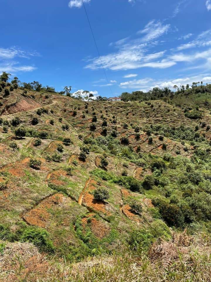 Finca en Granada