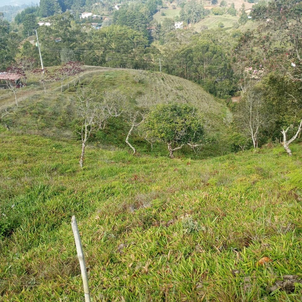 Casa_lote en El Poblado